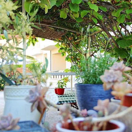 Navita Apartman Trogir